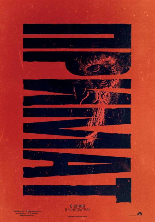 ������ ������������