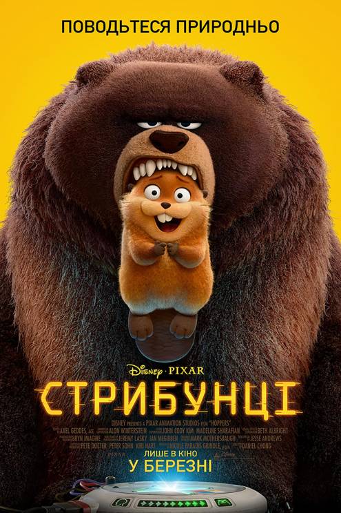 ������ ���������������